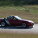 Illustration for article titled Miatas At A Race Track Multiply Worse Than Rabbits
